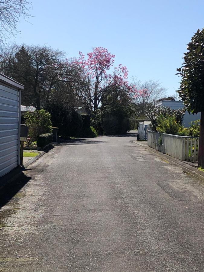 Inglewood Shared Home Bnb New Plymouth Zewnętrze zdjęcie